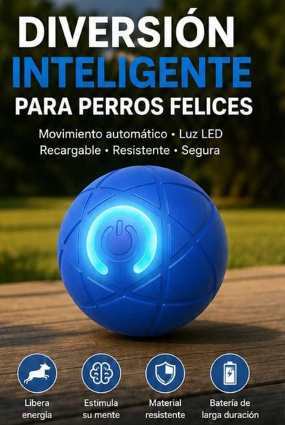 RoVix-Pelota Interactiva