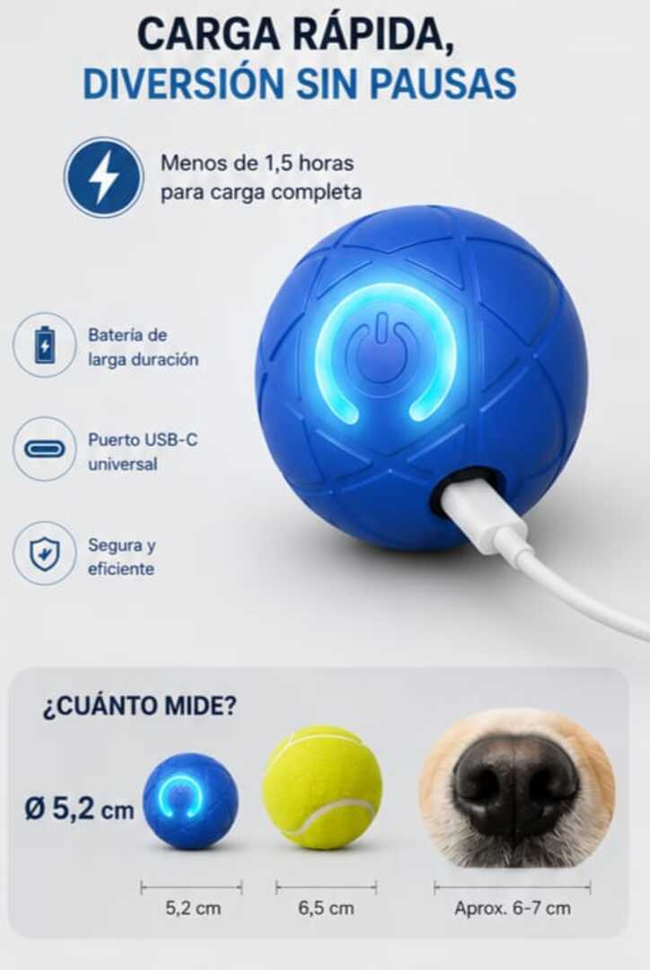 RoVix-Pelota Interactiva