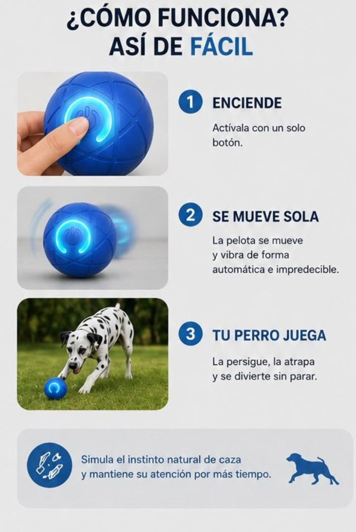 RoVix-Pelota Interactiva